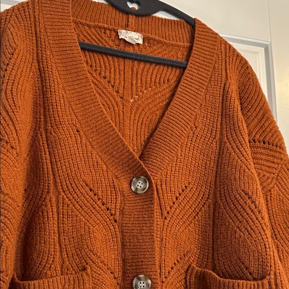 Hem & Thread Rust Button-Up Cardigan - Picture 5 of 6